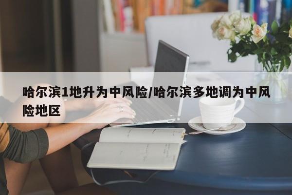 哈尔滨1地升为中风险/哈尔滨多地调为中风险地区