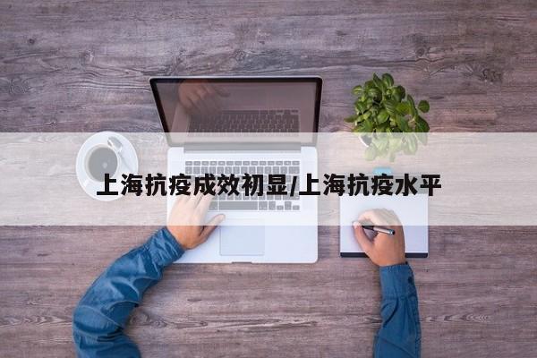上海抗疫成效初显/上海抗疫水平