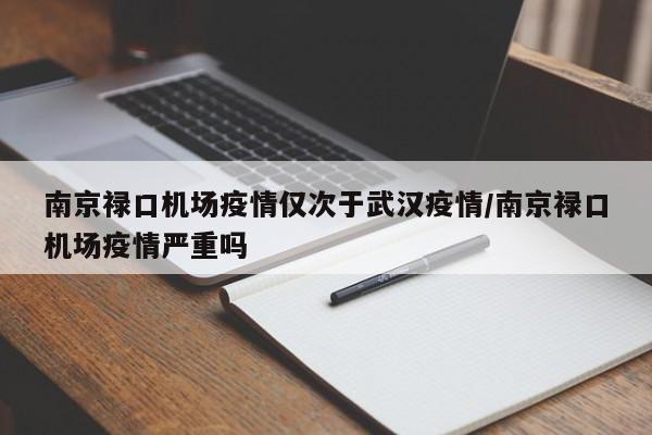 南京禄口机场疫情仅次于武汉疫情/南京禄口机场疫情严重吗